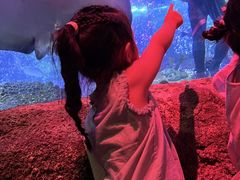 -沈阳海洋探索中心