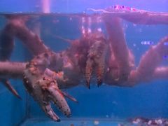 -月下料理(楷林IFC店)