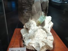 -湖南省地质博物馆