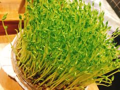 -好彩猪肚鸡(正弘城店)