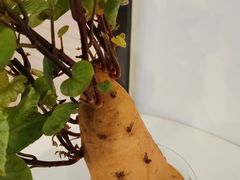 -浙江大学医学院附属第一医院(庆春院区)