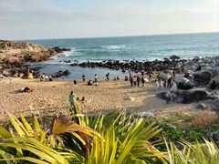 -巽寮印象美食部落餐厅·海鲜·地方特色菜(惠州体验店)