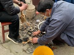 -小鱼草莓采摘园农家乐·小鱼餐厅