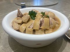 -新锦鸿(演达店)