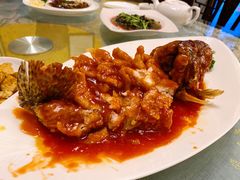 松鼠桂鱼-新聚丰菜馆(太监弄店)