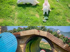 -焦作青龙峡风景名胜区