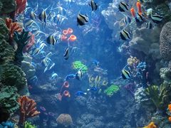 -海合安青岛极地海洋公园
