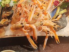-上井料理黑金店(IFS国金中心店)