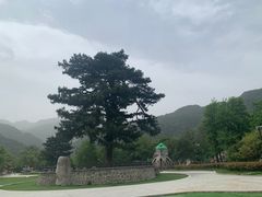 -秦岭终南山世界地质公园翠华山景区