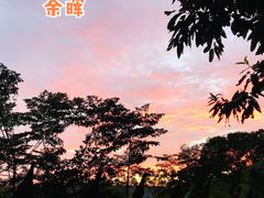 -紫金山天文台