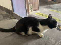 -环秀楼(黄山呈坎店)