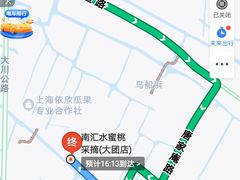 -南汇水蜜桃采摘(大团店)
