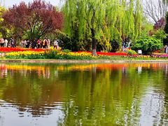 -石家庄市植物园