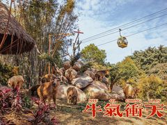 -广州长隆野生动物世界