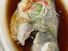 -台北楚楚园馅饼粥(虹桥南丰城店)