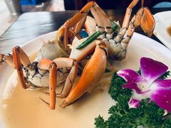 -谊荣海鲜大牌档(石湖店)