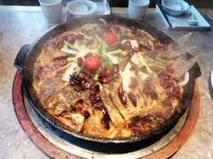 -老板恋上鱼(恒隆广场店)