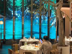 -桂满陇·海市蜃楼·黑金(国金店)