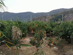-桃花岛风景旅游区