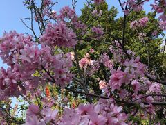 -桃花涧