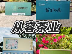 -日照海滨国家森林公园