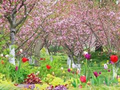 -黄兴公园