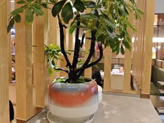 -大树餐厅(益田假日店)