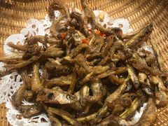 -大榕树下顺德菜(融创茂店)