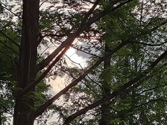-洋湖国家湿地公园