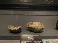 -青海藏文化博物院