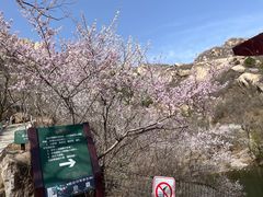 -北京凤凰岭