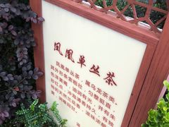 -英德宝晶宫天鹅湖茶语温泉