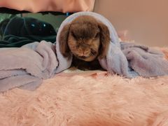 -雨林宠物医院 非犬猫异宠专科