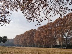 -河南省黄河迎宾馆