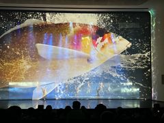 -七彩云南欢乐世界