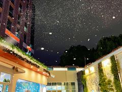 -紫荆广场·花漫里