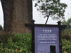 -韩湘水博园