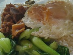牛腩饭-侯臣咖啡文化村