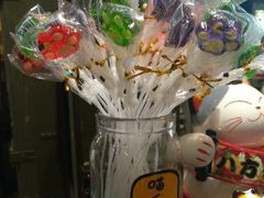 -猫咪博物馆(顶澳仔猫街店)