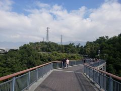 -金鸡山公园
