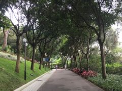 -云溪植物园