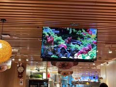 -西贝莜面村(当代商城店)