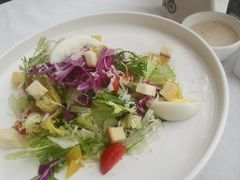 -鱼翅楼·津派砂锅鱼翅(水上公园店)