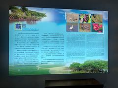 -东寨港红树林旅游区