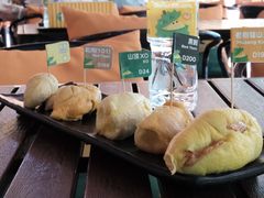 -榴莲BB 四季果园