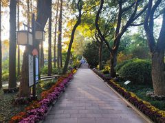 -上海醉白池公园
