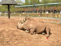 -鄂尔多斯野生动物园