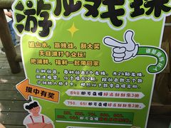 -天目湖山水园