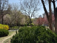 -南开大学(八里台校区)