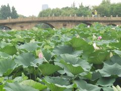 -石湖景区